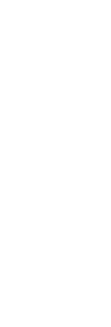 重點(diǎn)聚焦